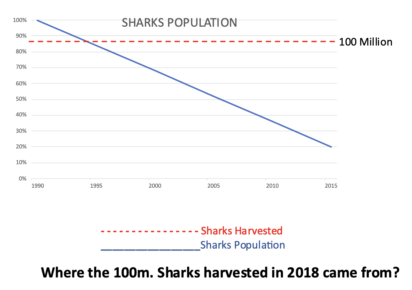 Hands off all sharks? – IWMC – World Conservation Trust